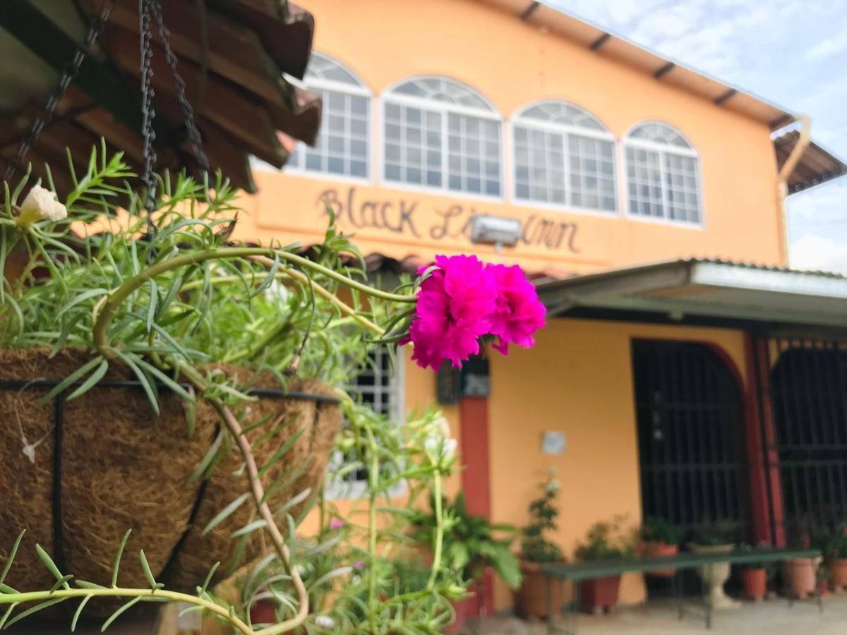 Black Lion Inn سانتياغو المظهر الخارجي الصورة